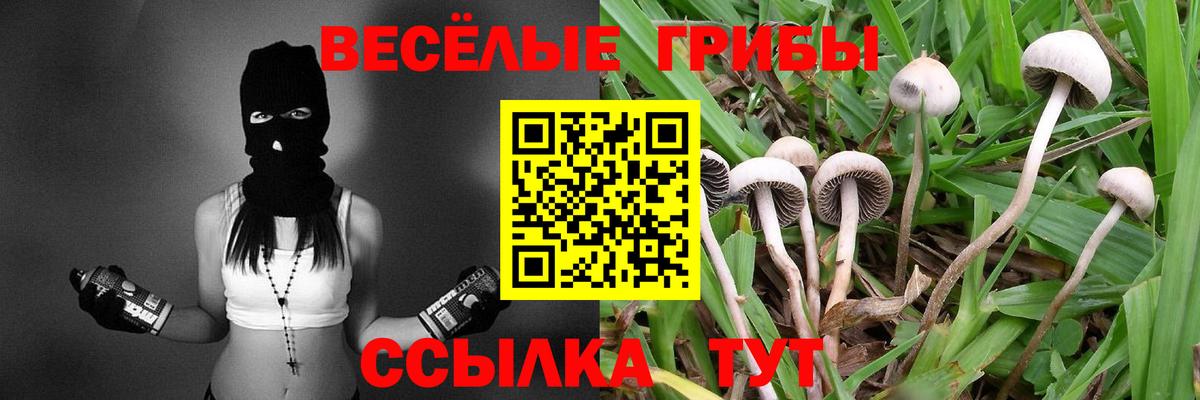 Псилоцибиновые грибы MAGIC MUSHROOMS  Вход с VPN  Алапаевск  Псилоцибиновые грибы ЛСД 